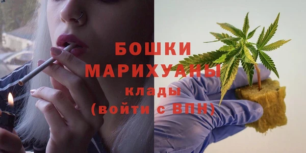 дмт Мегион