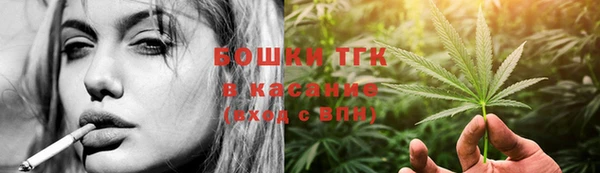 шишки Медногорск