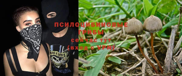 ALPHA-PVP Медвежьегорск