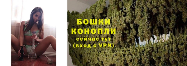 дмт Мегион