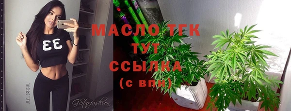 дмт Мегион