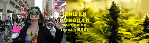 шишки Медногорск