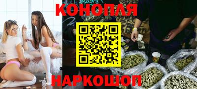 индика Бийск