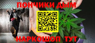 индика Бийск