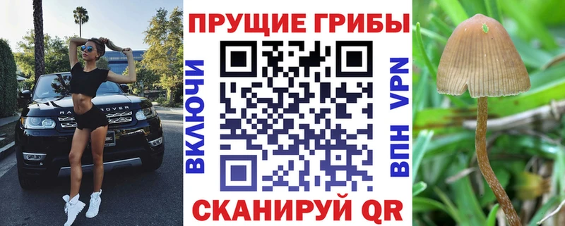 Галлюциногенные грибы GOLDEN TEACHER  мориарти какой сайт  Махачкала 
