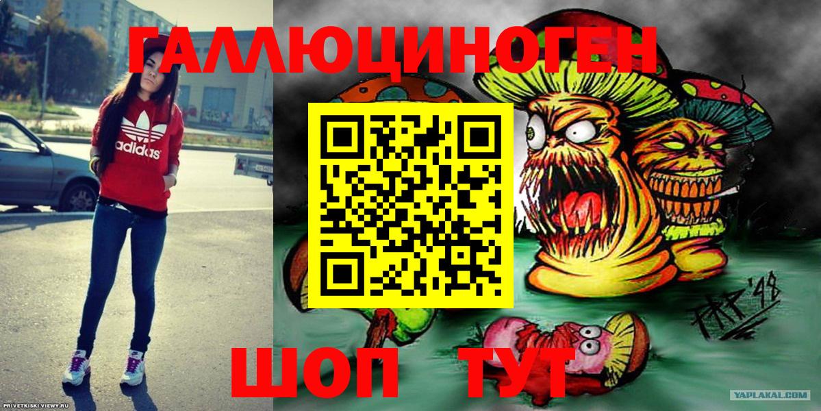 Псилоцибиновые грибы GOLDEN TEACHER  Махачкала 