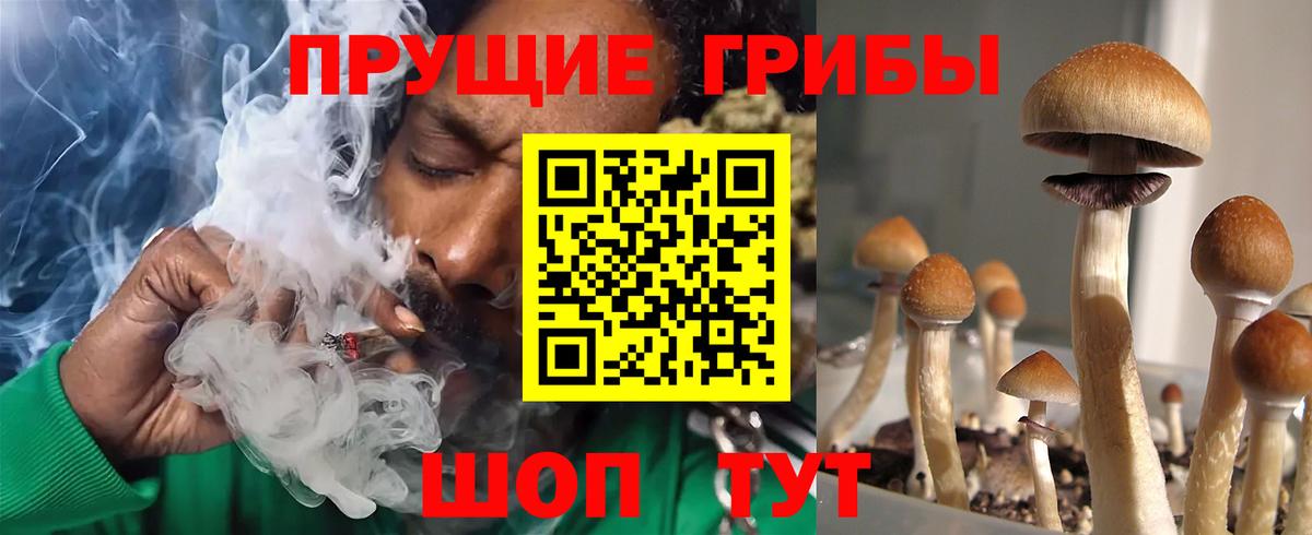Псилоцибиновые грибы ЛСД Махачкала
