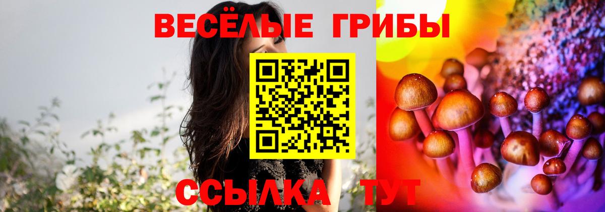 Махачкала  Галлюциногенные грибы MAGIC MUSHROOMS  Вход с VPN  Галлюциногенные грибы Magic Shrooms 
