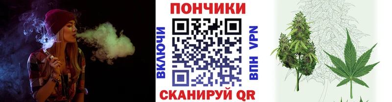 Канабис конопля  купить наркотик  Махачкала 