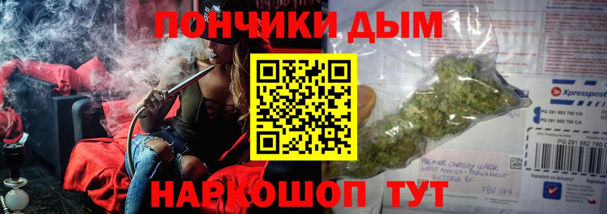 Махачкала  Марихуана сатива  Вход с VPN  Бошки Шишки сатива  Бошки Шишки гибрид 